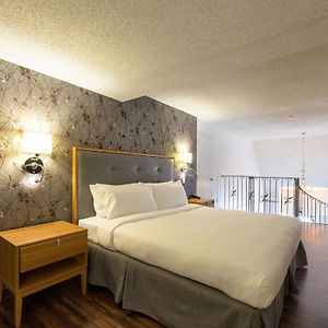 Distinctive suite 1 King bed 2 sofa beds